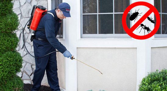 Atakent Bit İlaçlama böcek ilaçlama ve haşere kontrolü — ilaclama-tr.com